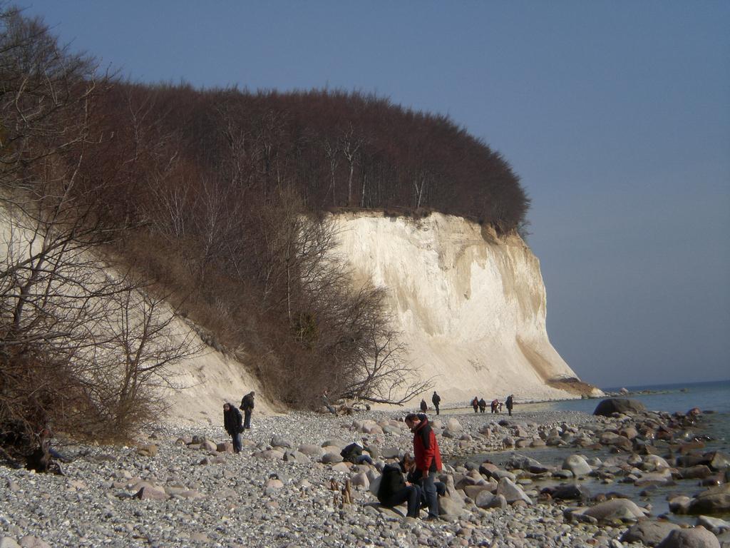 Ferienwohnung In Sassnitz Ruegen Naehe Weltnaturerbe Kreidekueste מראה חיצוני תמונה