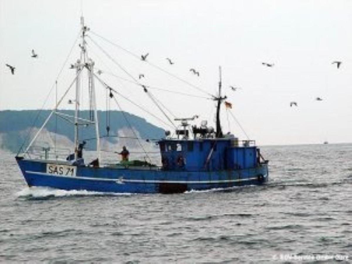 Ferienwohnung In Sassnitz Ruegen Naehe Weltnaturerbe Kreidekueste מראה חיצוני תמונה